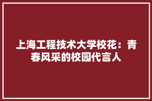 上海工程技术大学校花：青春风采的校园代言人 地板材料
