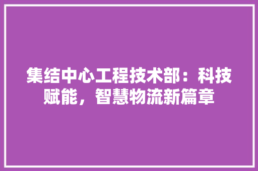 集结中心工程技术部：科技赋能，智慧物流新篇章