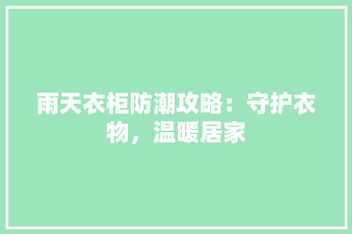 雨天衣柜防潮攻略：守护衣物，温暖居家 室内设计