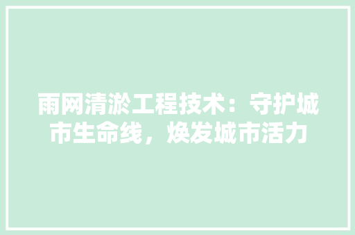 雨网清淤工程技术：守护城市生命线，焕发城市活力 室内设计