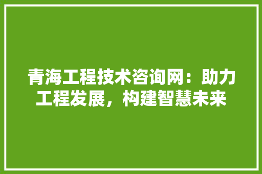 青海工程技术咨询网：助力工程发展，构建智慧未来