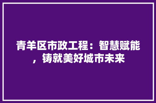 青羊区市政工程：智慧赋能，铸就美好城市未来 室内设计