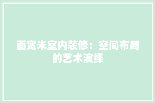 面宽米室内装修：空间布局的艺术演绎 室内设计