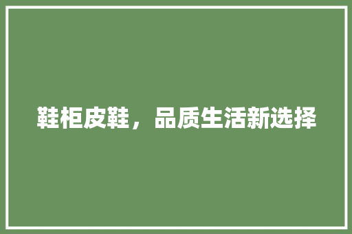 鞋柜皮鞋，品质生活新选择 室内设计