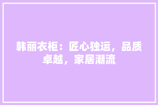 韩丽衣柜：匠心独运，品质卓越，家居潮流 室内设计