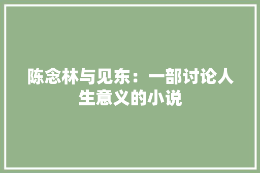 陈念林与见东：一部讨论人生意义的小说 室内设计