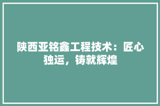 陕西亚铭鑫工程技术：匠心独运，铸就辉煌 室内设计