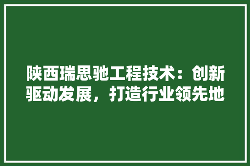陕西瑞思驰工程技术：创新驱动发展，打造行业领先地位