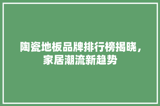 陶瓷地板品牌排行榜揭晓，家居潮流新趋势 室内设计