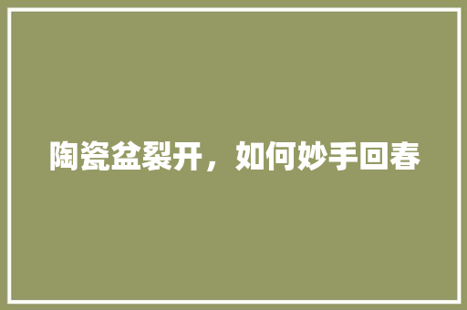 陶瓷盆裂开，如何妙手回春 室内设计