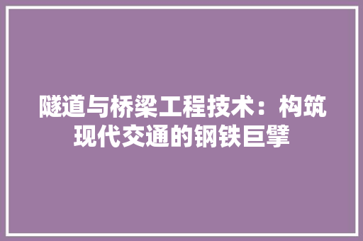 隧道与桥梁工程技术：构筑现代交通的钢铁巨擘 室内设计