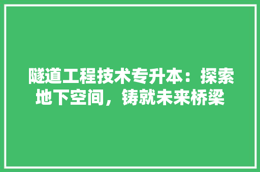 隧道工程技术专升本：探索地下空间，铸就未来桥梁 室内设计