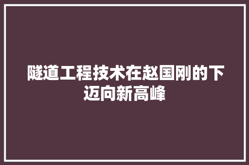 隧道工程技术在赵国刚的下迈向新高峰 室内设计