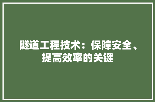 隧道工程技术：保障安全、提高效率的关键 室内设计