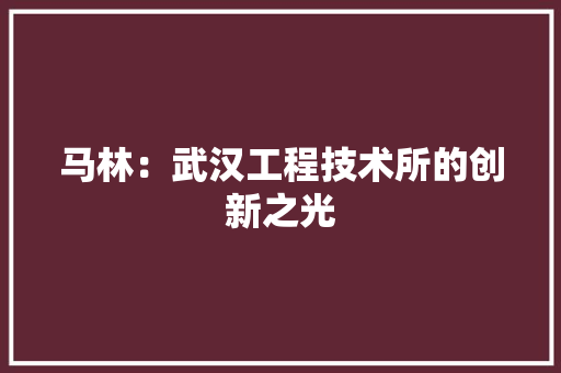 马林：武汉工程技术所的创新之光
