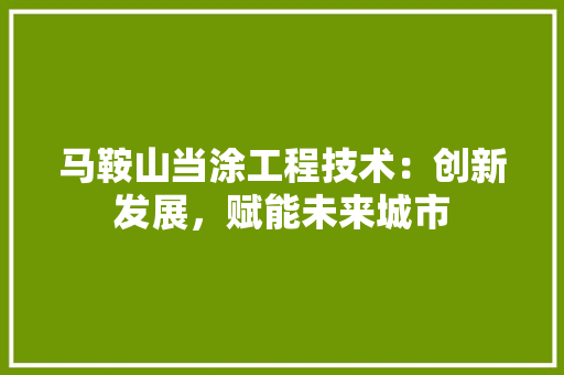 马鞍山当涂工程技术：创新发展，赋能未来城市 室内设计