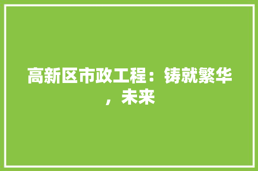 高新区市政工程：铸就繁华，未来 室内设计