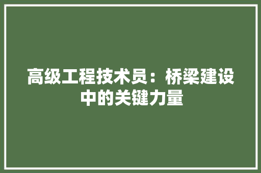 高级工程技术员：桥梁建设中的关键力量 室内设计