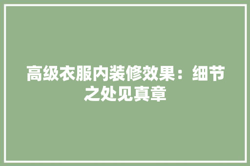 高级衣服内装修效果：细节之处见真章 室内设计