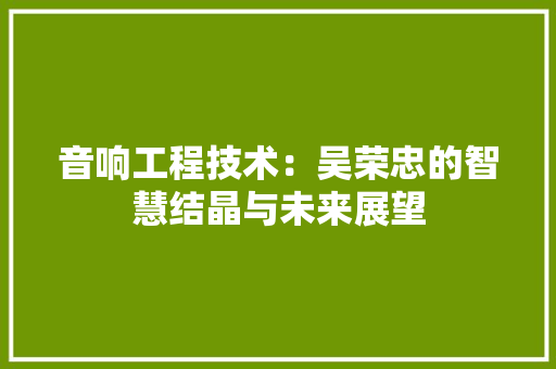 音响工程技术：吴荣忠的智慧结晶与未来展望 室内设计