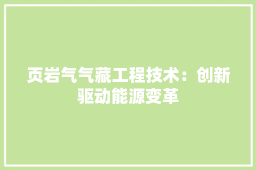 页岩气气藏工程技术：创新驱动能源变革
