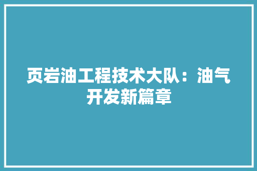 页岩油工程技术大队：油气开发新篇章 室内设计