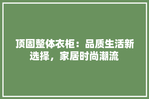 顶固整体衣柜：品质生活新选择，家居时尚潮流 室内设计