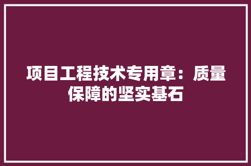 项目工程技术专用章：质量保障的坚实基石 室内设计