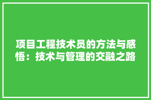 项目工程技术员的方法与感悟：技术与管理的交融之路 室内设计