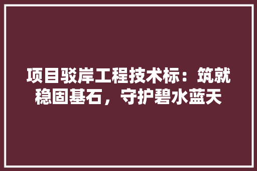 项目驳岸工程技术标：筑就稳固基石，守护碧水蓝天