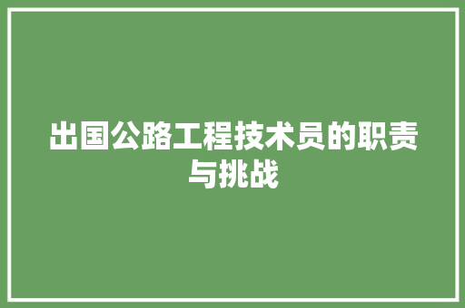 出国公路工程技术员的职责与挑战