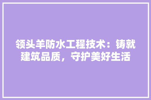 领头羊防水工程技术：铸就建筑品质，守护美好生活 室内设计