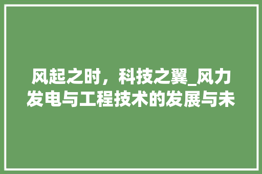 风起之时，科技之翼_风力发电与工程技术的发展与未来