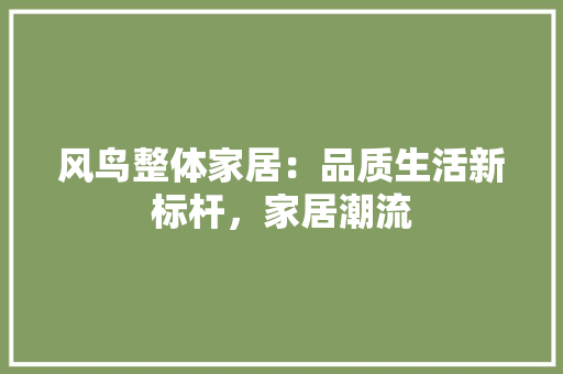 风鸟整体家居：品质生活新标杆，家居潮流 室内设计