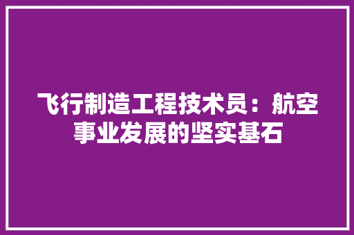 飞行制造工程技术员：航空事业发展的坚实基石 室内设计