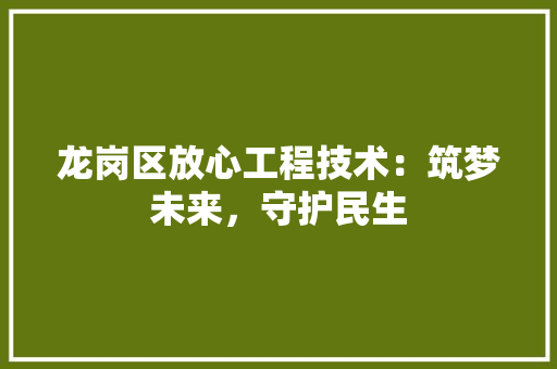 龙岗区放心工程技术：筑梦未来，守护民生