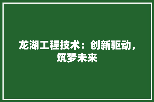 龙湖工程技术：创新驱动，筑梦未来 室内设计