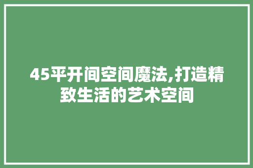 45平开间空间魔法,打造精致生活的艺术空间 客厅装修