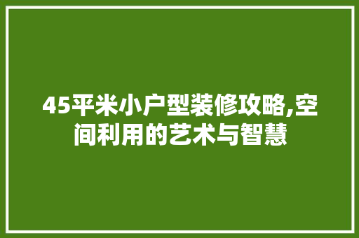 45平米小户型装修攻略,空间利用的艺术与智慧 家居装修