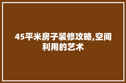 45平米房子装修攻略,空间利用的艺术 木雕艺术