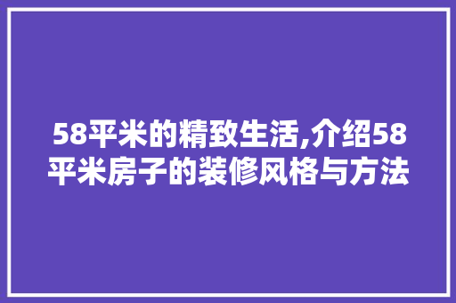 58平米的精致生活,介绍58平米房子的装修风格与方法 室内设计