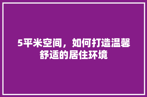 5平米空间，如何打造温馨舒适的居住环境 现代风格装饰