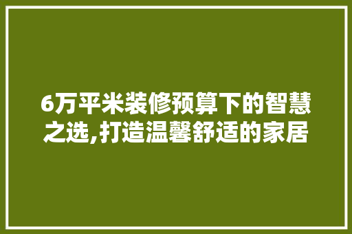 6万平米装修预算下的智慧之选,打造温馨舒适的家居空间 木雕艺术