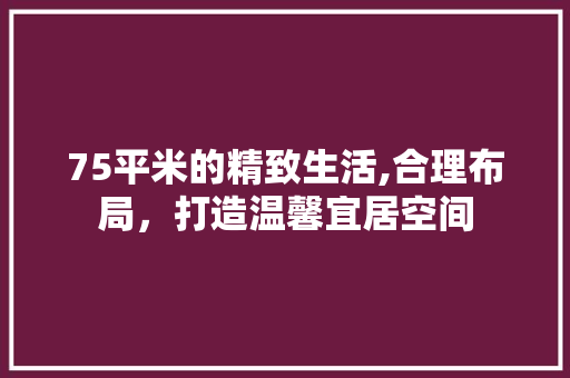 75平米的精致生活,合理布局，打造温馨宜居空间