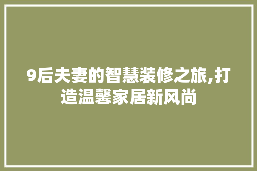 9后夫妻的智慧装修之旅,打造温馨家居新风尚