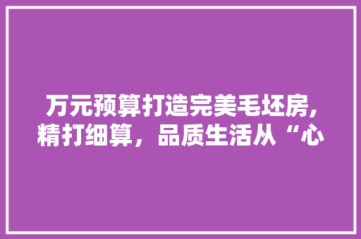 万元预算打造完美毛坯房,精打细算，品质生活从“心”开始 家居装修