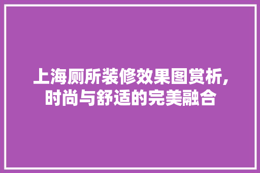 上海厕所装修效果图赏析,时尚与舒适的完美融合