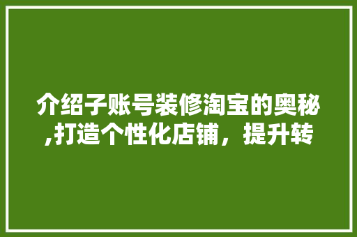 介绍子账号装修淘宝的奥秘,打造个性化店铺，提升转化率！ 软装设计