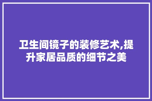 卫生间镜子的装修艺术,提升家居品质的细节之美 现代风格装饰