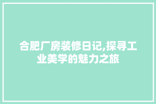合肥厂房装修日记,探寻工业美学的魅力之旅 软装设计